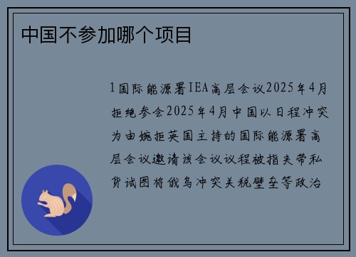 中国不参加哪个项目
